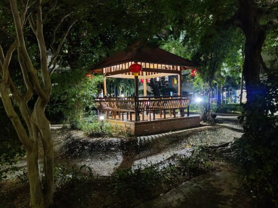 OnePlus 8Tナイトカメラ(2) 