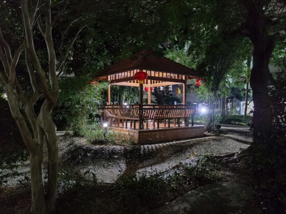 OnePlus 8T Proナイトカメラ(4) 