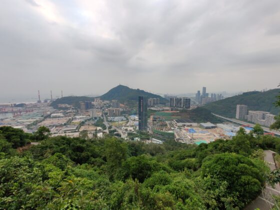 OnePlus 8T Pro広角(3) 