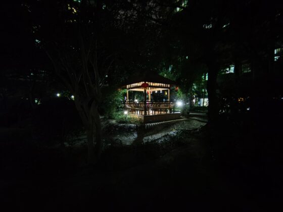 OnePlus 8T広角ナイト(2) 