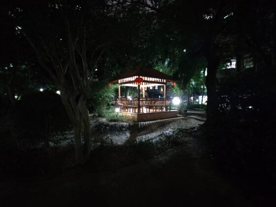 OnePlus 8T Pro広角ナイト(3) 