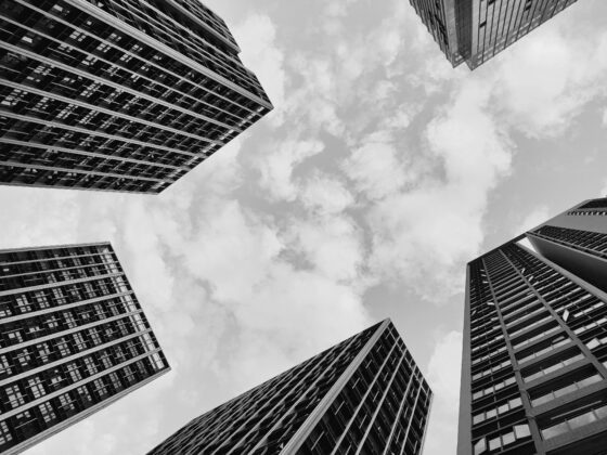 OnePlus 8Tモノクロ(1) 