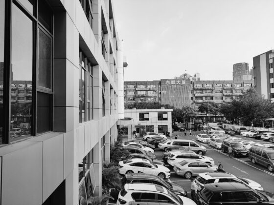 OnePlus 8Tモノクロ(2) 