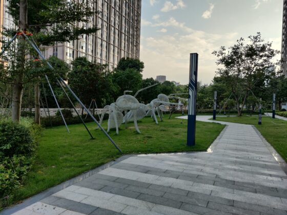 Camera OnePlus 8T Pro(4) 